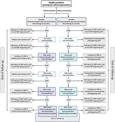 Incidence of Arterial Hypertension in People With Periodontitis and Characterization of the Oral and Subgingival Microbiome: A Study Protocol